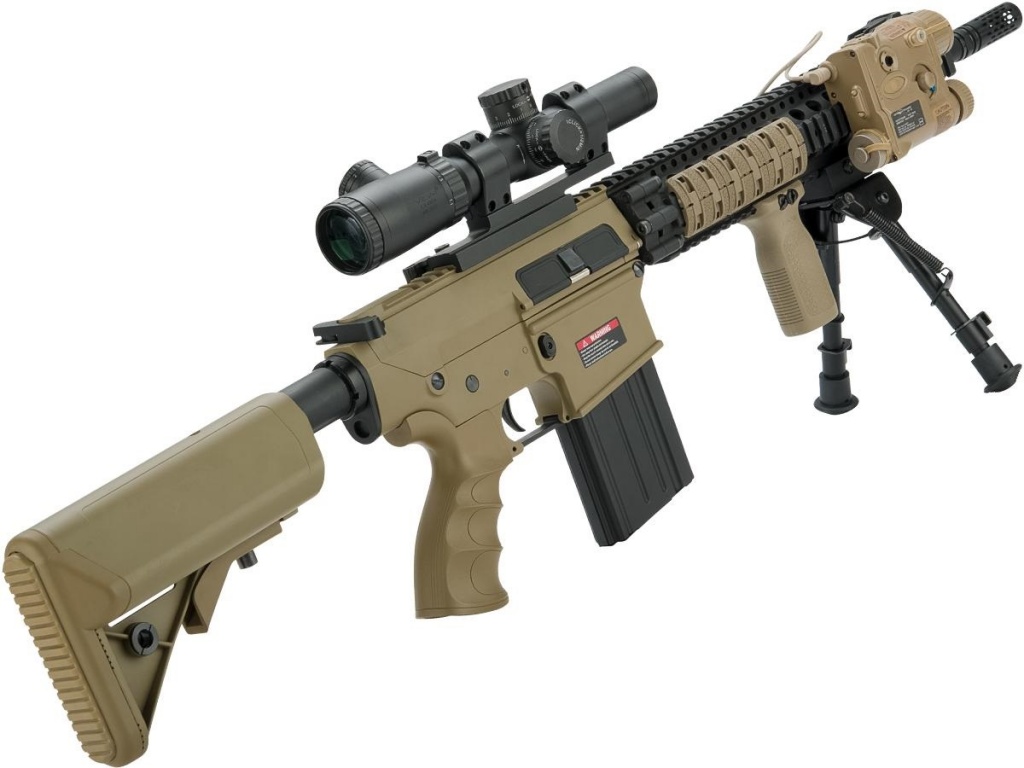custom-SR25-2.jpg